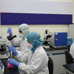 Tren Kasus Menurun, Kemenkes Pastikan Influenza A (H3N2) Subclade K Terkendali