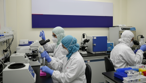 Tren Kasus Menurun, Kemenkes Pastikan Influenza A (H3N2) Subclade K Terkendali