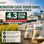 Kementan Catat Rekor Baru, Stok Beras Nasional Tembus 4,3 Juta Ton