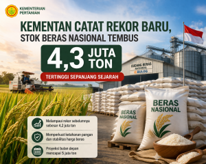 Kementan Catat Rekor Baru, Stok Beras Nasional Tembus 4,3 Juta Ton