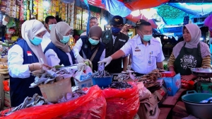 Pastikan Keamanan Pangan, Dinas Kesehatan Pangkep Uji 50 Sampel Pangan di Pasar Sentral