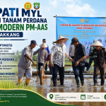 Pemkab Pangkep Terapkan Pertanian Modern, Target Produksi Padi Naik 9 Ton per Hektare