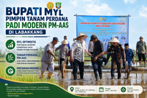 Pemkab Pangkep Terapkan Pertanian Modern, Target Produksi Padi Naik 9 Ton per Hektare