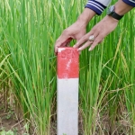Pasang Patok, Cara Sederhana Cegah Sengketa Tanah dengan Tetangga