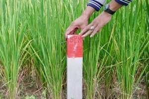 Pasang Patok, Cara Sederhana Cegah Sengketa Tanah dengan Tetangga