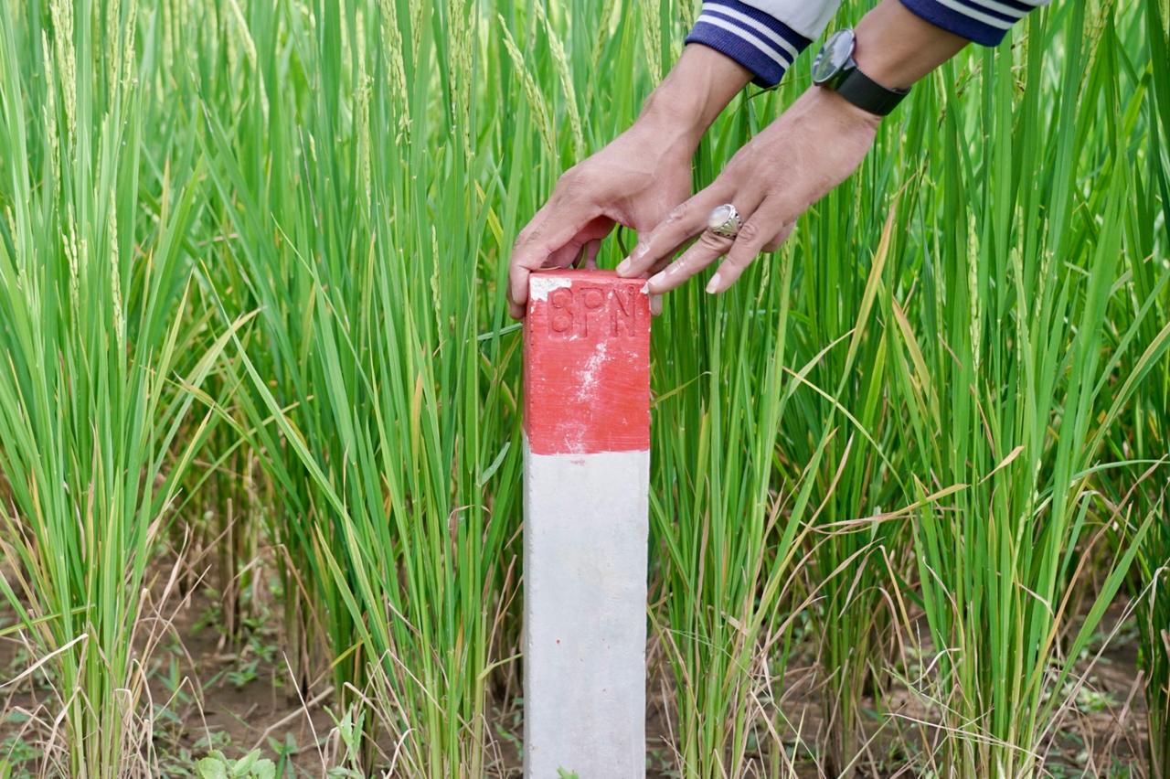 Pasang Patok, Cara Sederhana Cegah Sengketa Tanah dengan Tetangga
